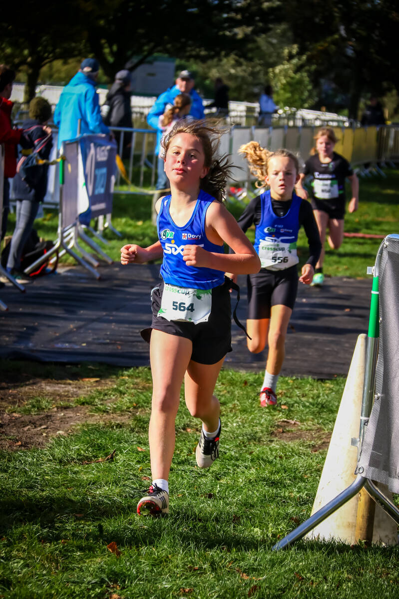 crosscuproeselare-198-standard.jpg