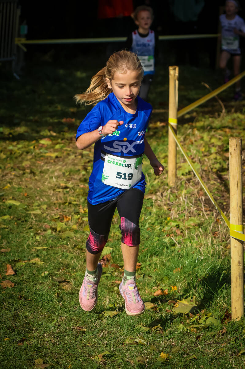 crosscuproeselare-264-standard.jpg
