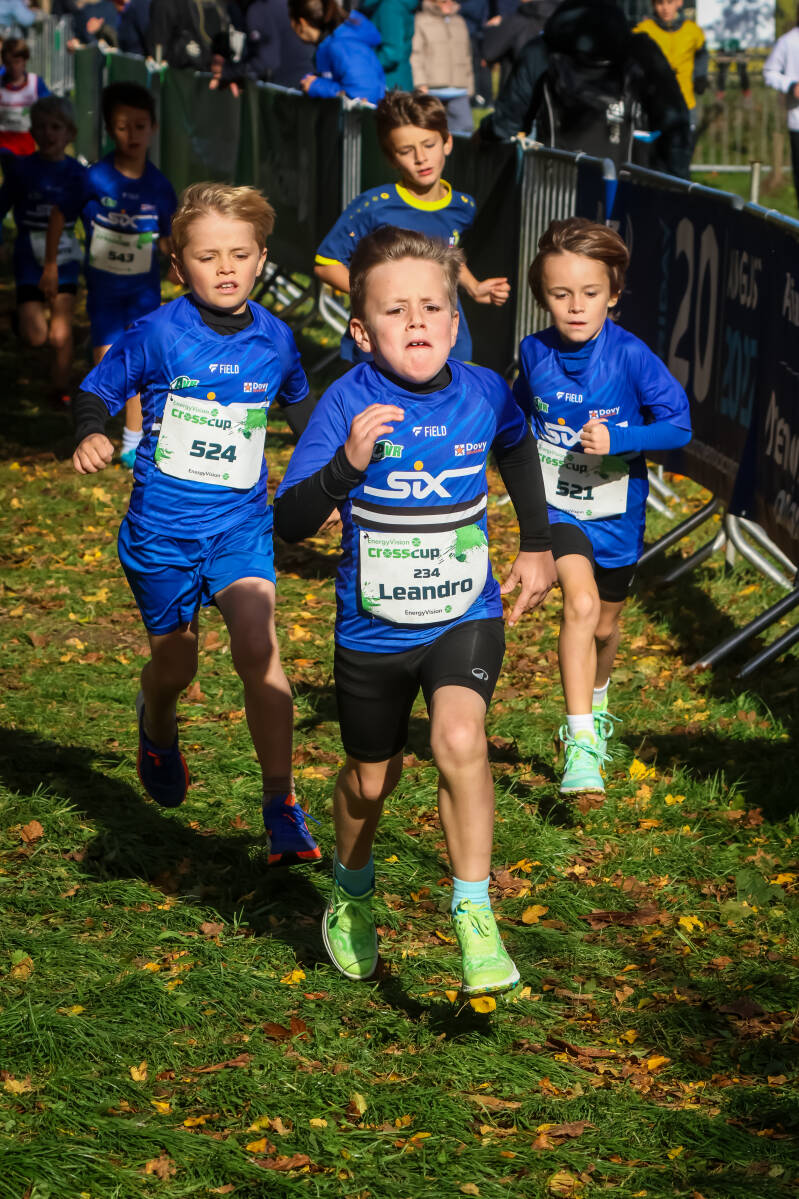 crosscuproeselare-273-standard.jpg