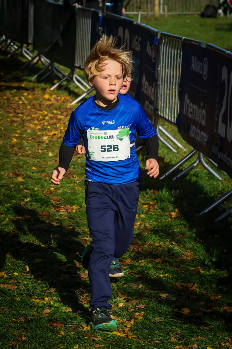 crosscuproeselare-279-standard.jpg