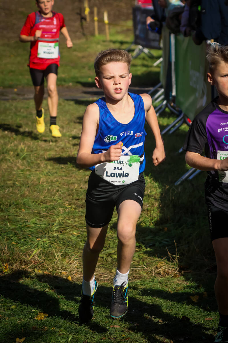 crosscuproeselare-287-standard.jpg