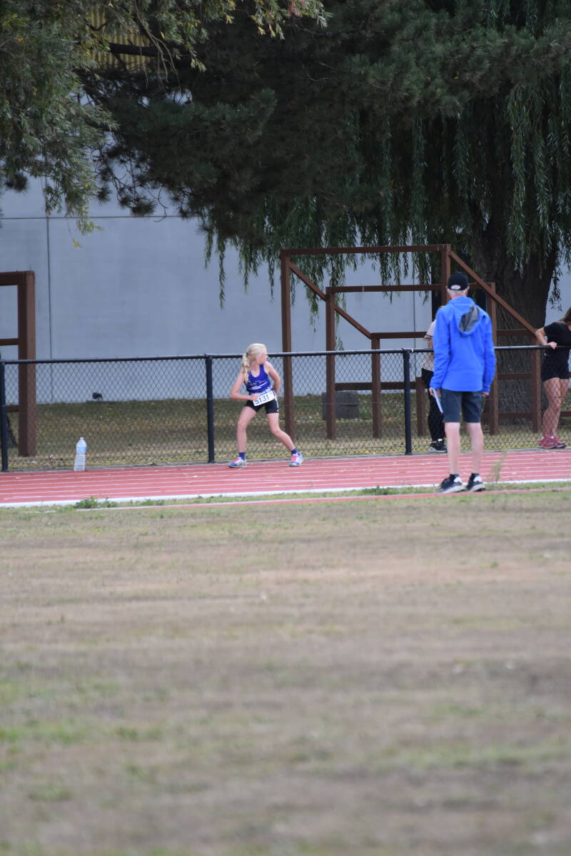 dsc_1446-standard.jpg