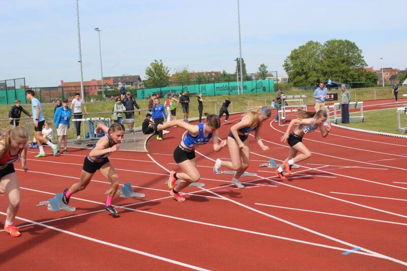 img_7173-standard.jpg