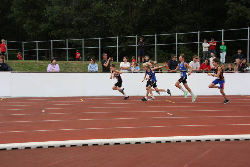 img_8581-standard.jpg
