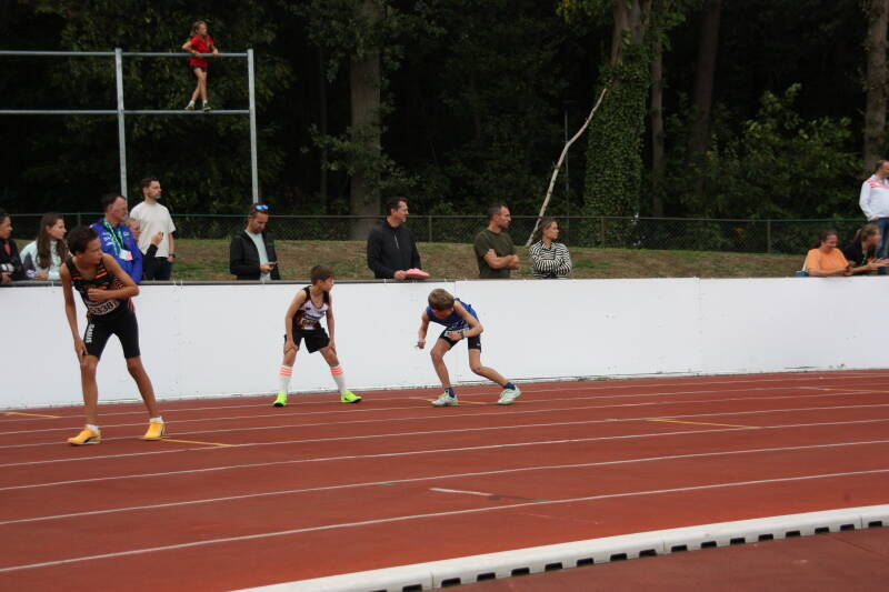 img_8583-standard.jpg