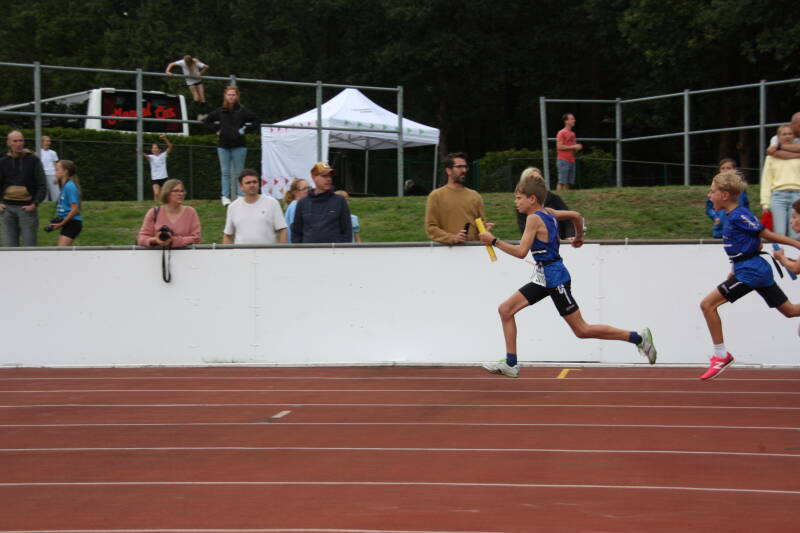 img_8589-standard.jpg