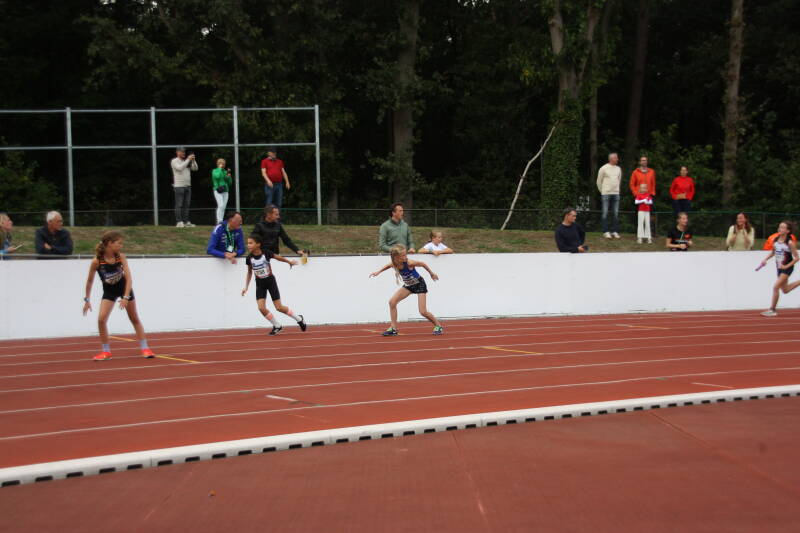 img_8591-standard.jpg