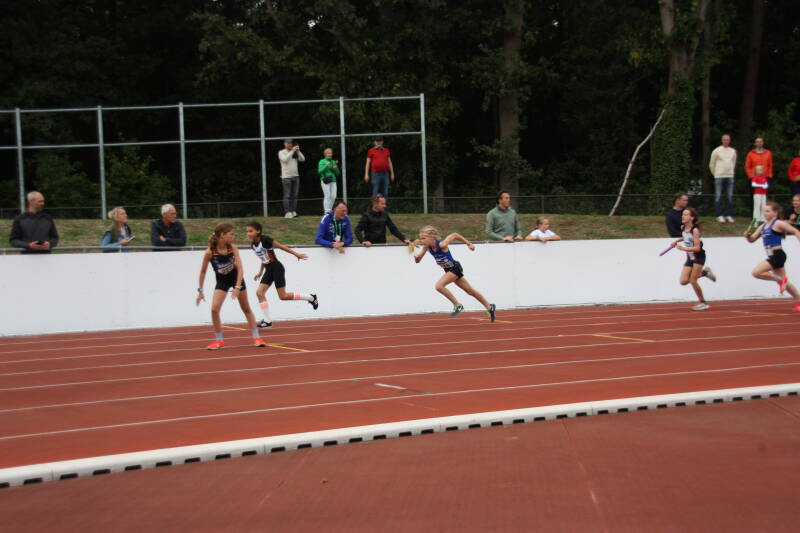 img_8593-standard.jpg