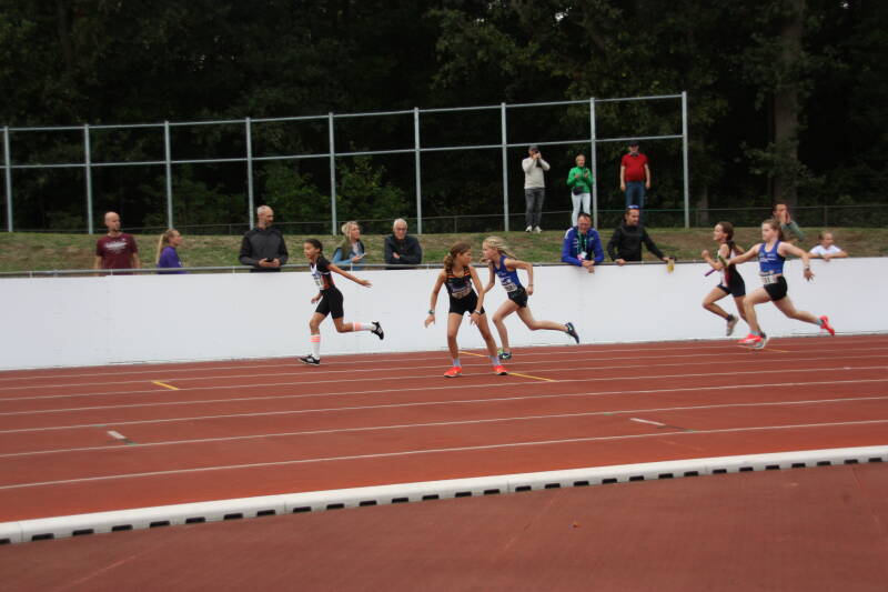 img_8595-standard.jpg