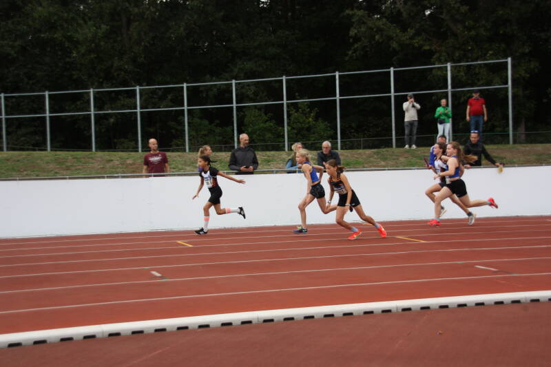 img_8596-standard.jpg