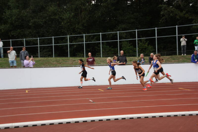 img_8597-standard.jpg