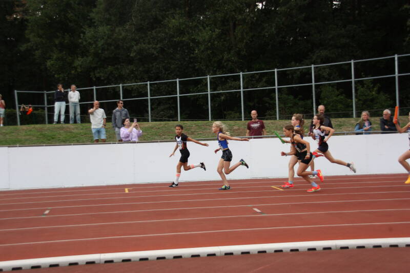img_8598-standard.jpg