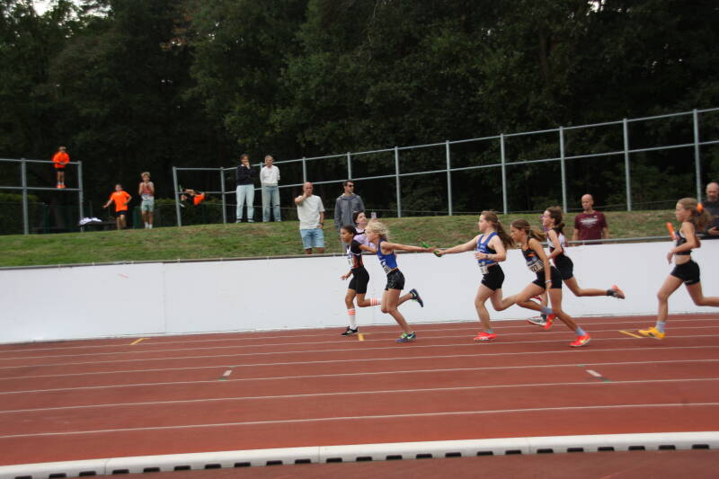 img_8599-standard.jpg