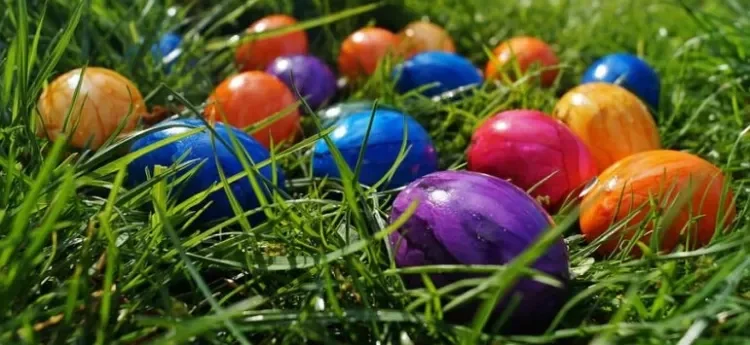 Paaseierenraap 2026 - Maandag 6 april