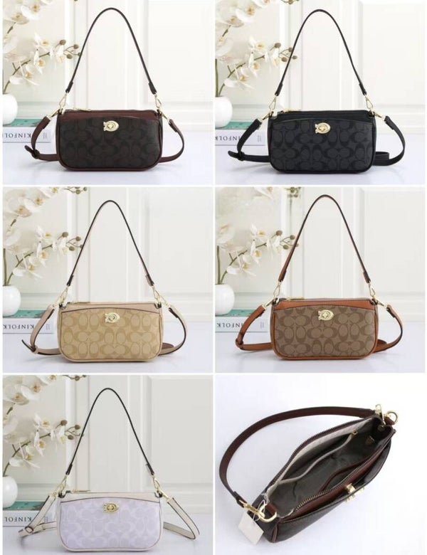 Luxury Hand Bag