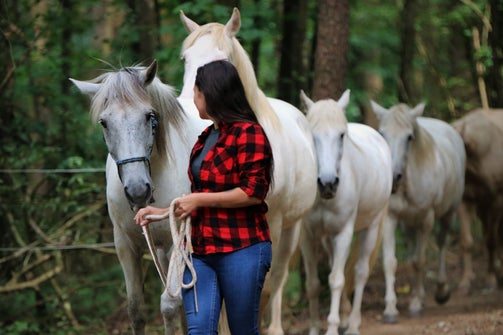 Paard met verlatingsangst werd individueel behandeld, en op de foto gezet. Zonder gescheiden te worden van zijn kudde, of uit zijn vertrouwde omgeving te halen.