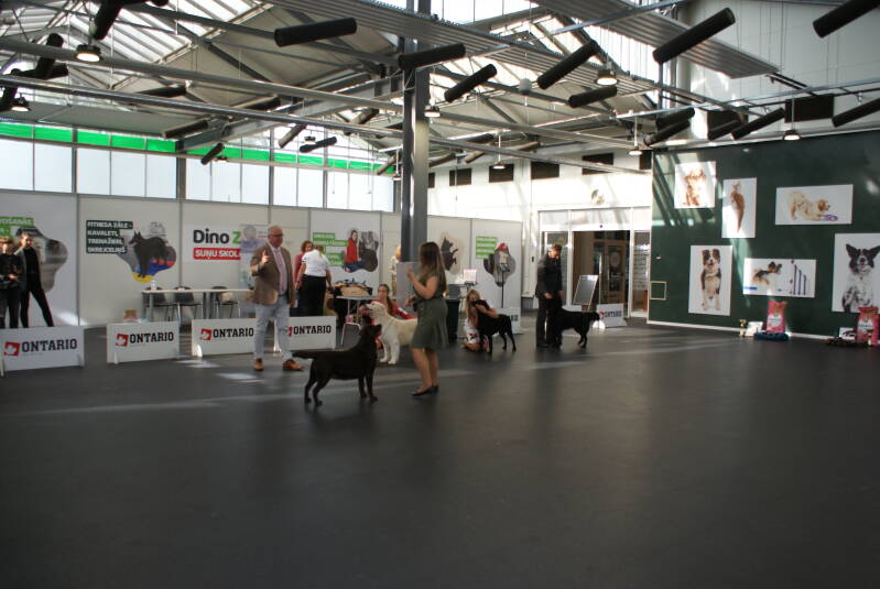 dsc04708-standard.jpg