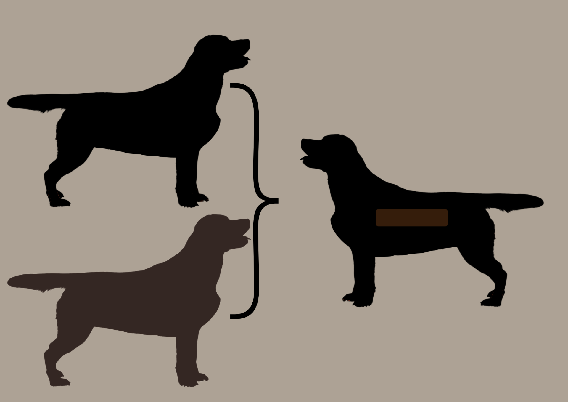 EEbb to EEbb = 100% EEbb