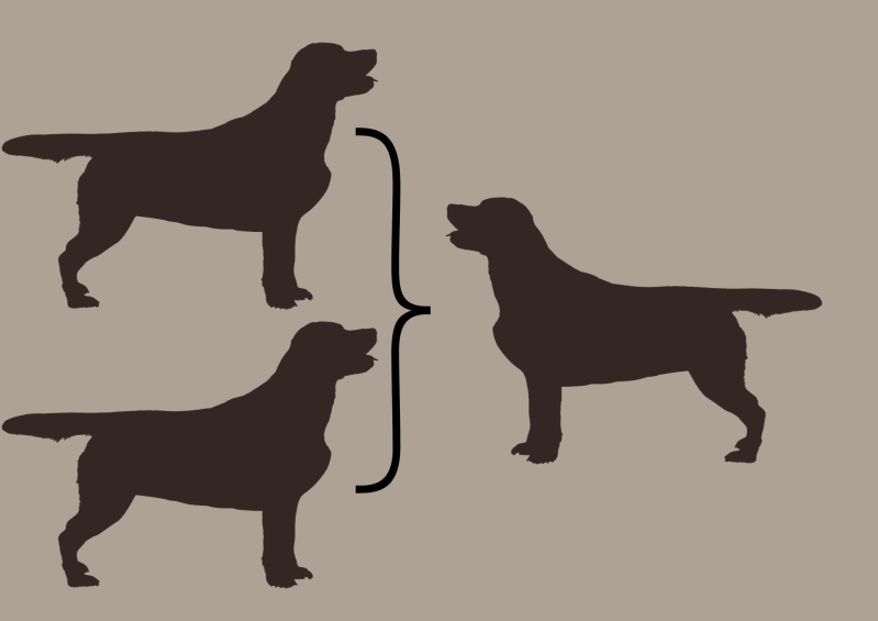 EEbb to EEbb = 100% EEbb