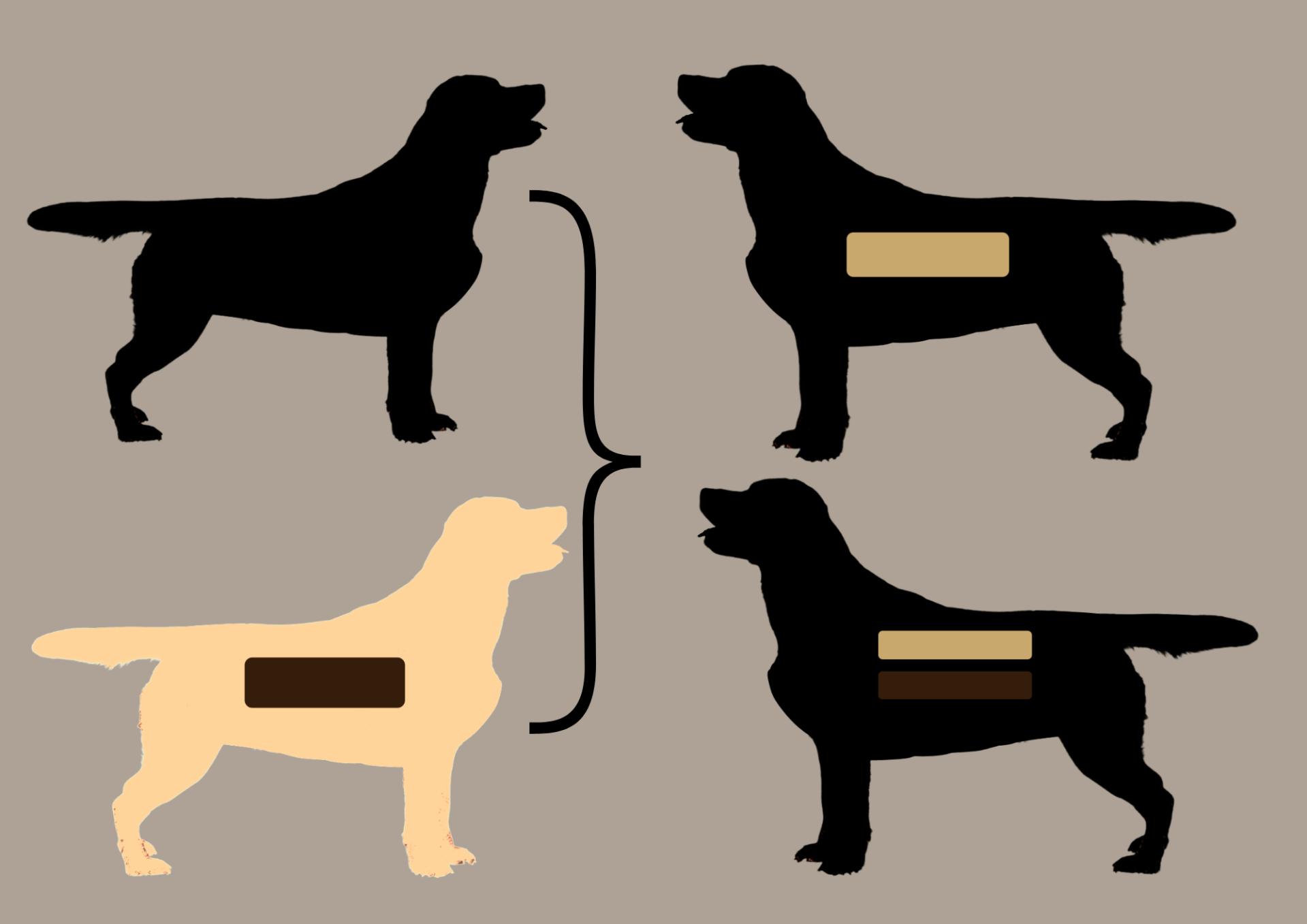 EEbb to EEbb = 100% EEbb