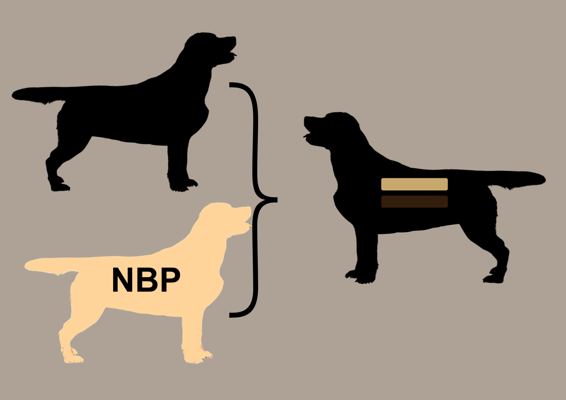 EEbb to EEbb = 100% EEbb