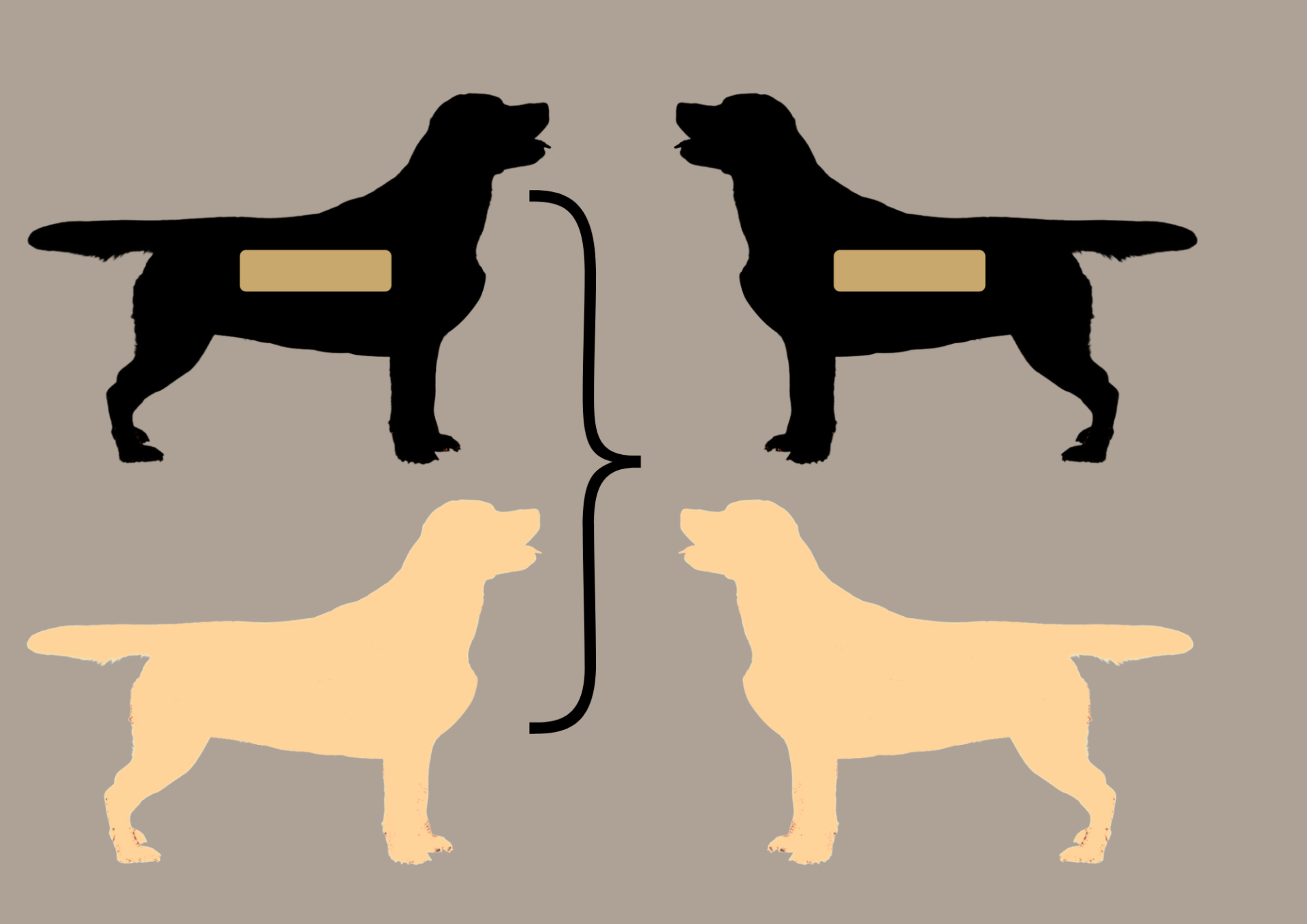 EEbb to EEbb = 100% EEbb