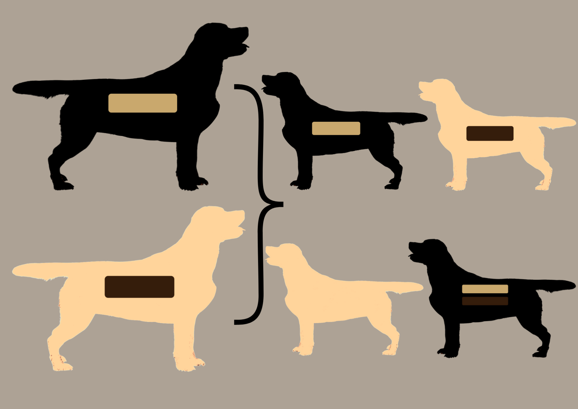 EEbb to EEbb = 100% EEbb