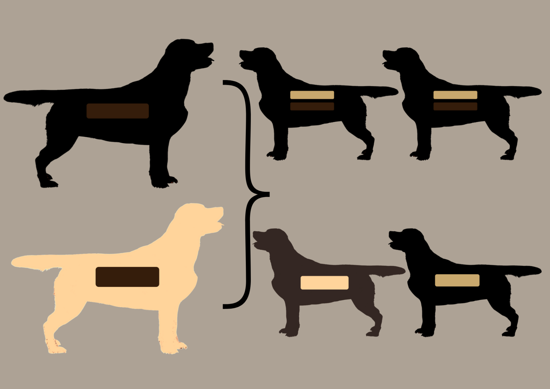 EEbb to EEbb = 100% EEbb