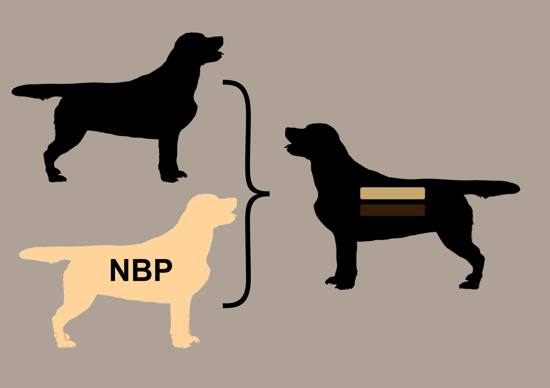 EEbb to EEbb = 100% EEbb