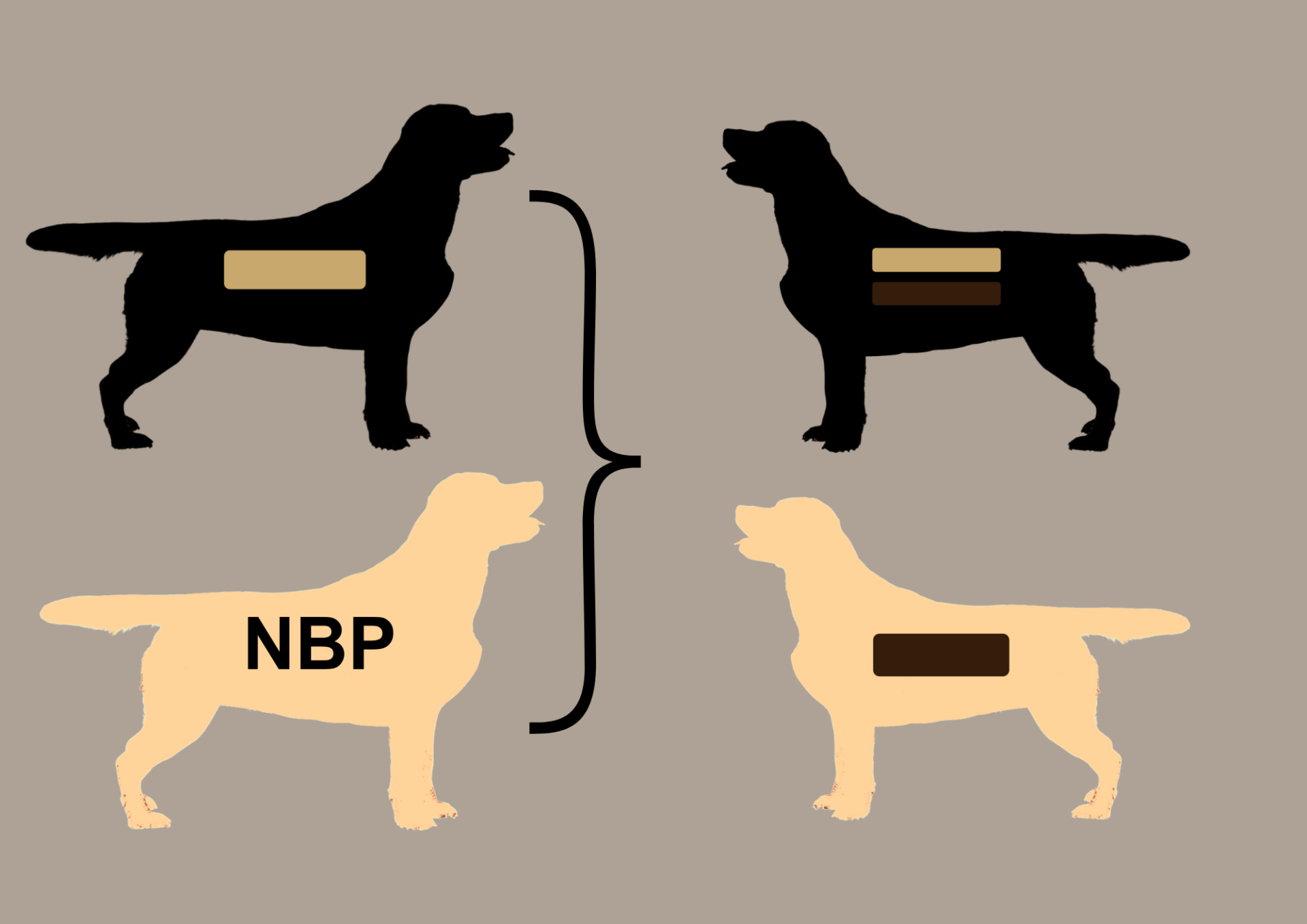 EEbb to EEbb = 100% EEbb