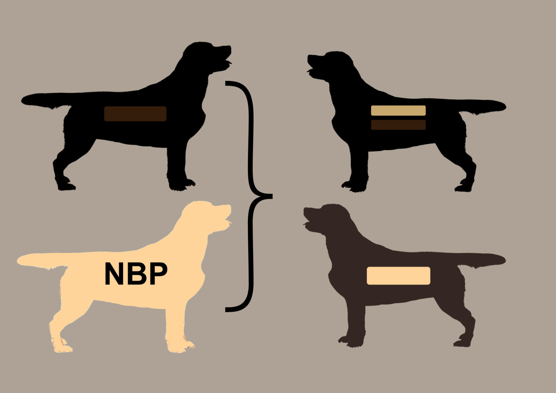 EEbb to EEbb = 100% EEbb