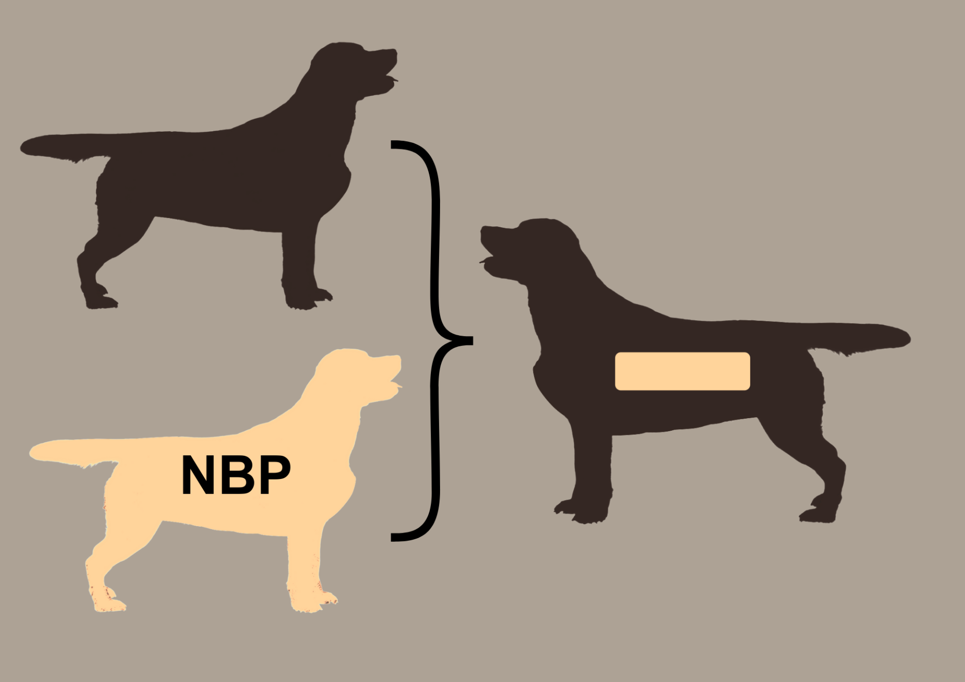 EEbb to EEbb = 100% EEbb