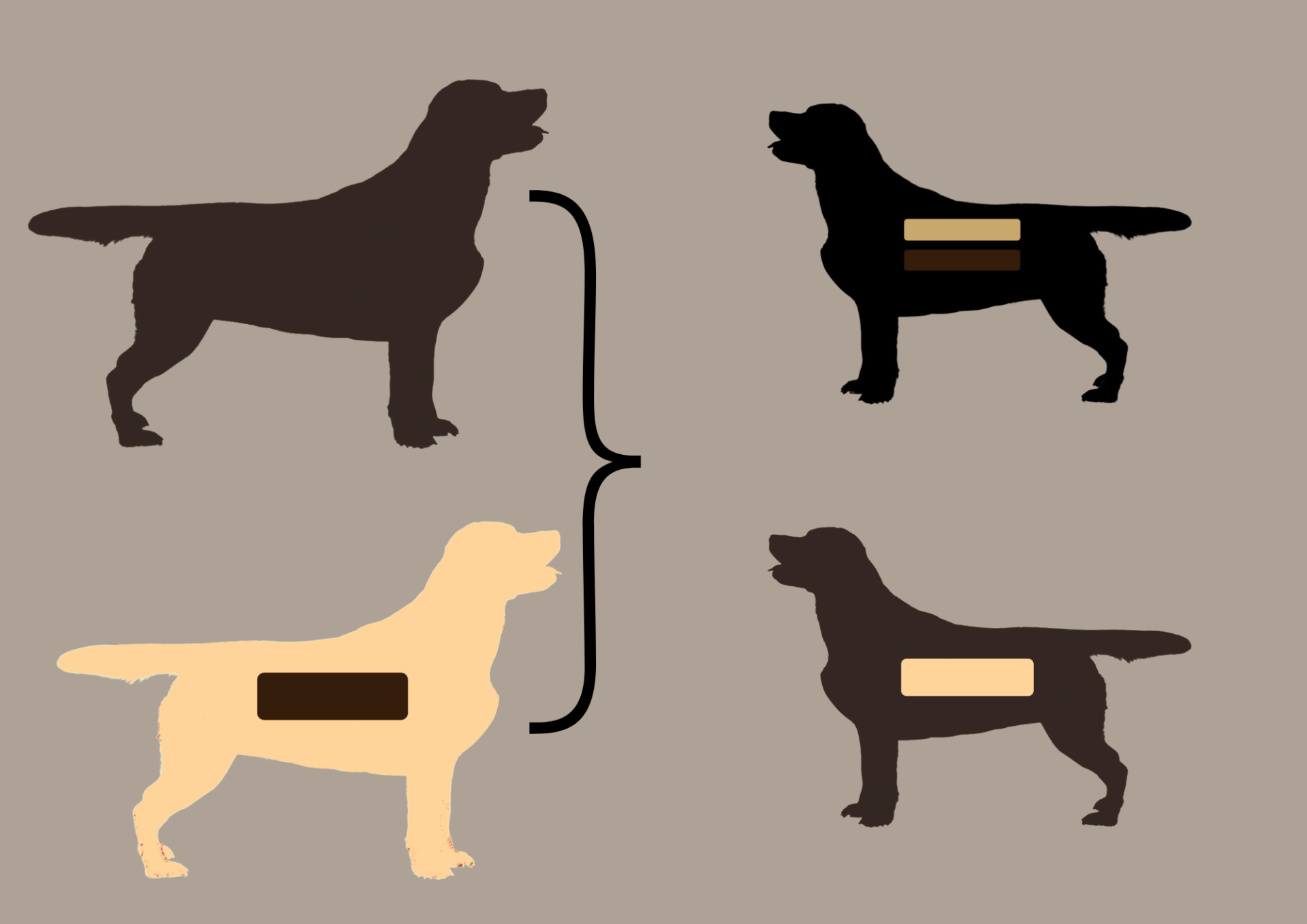 EEbb to EEbb = 100% EEbb