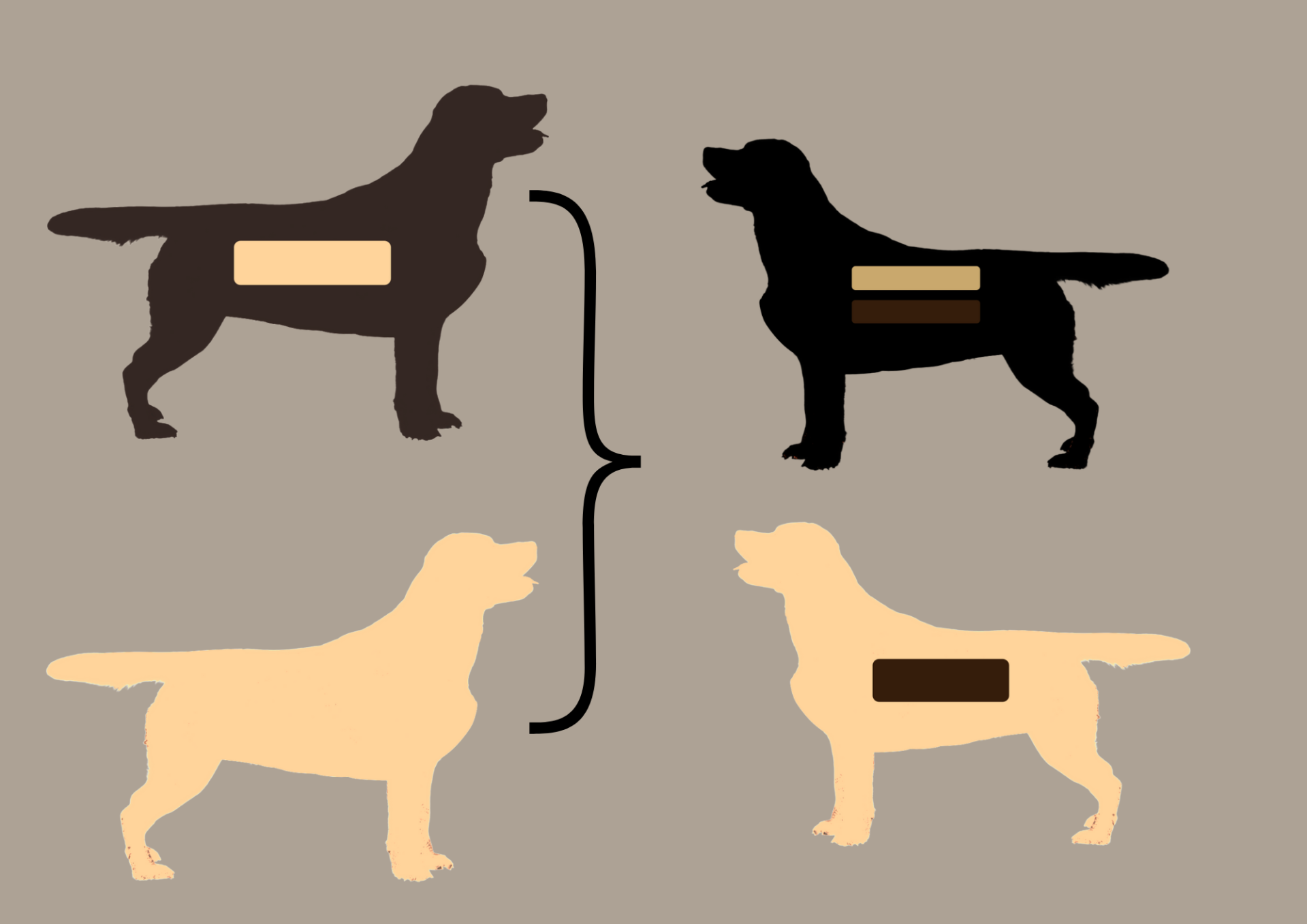 EEbb to EEbb = 100% EEbb