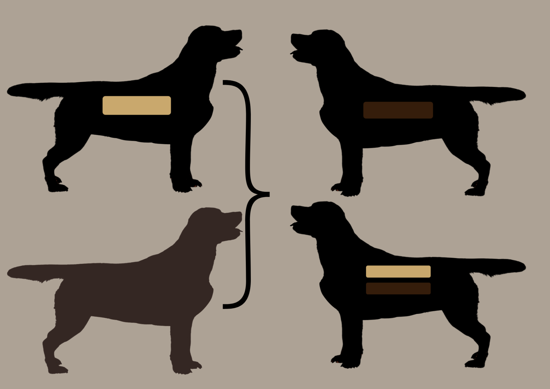 EEbb to EEbb = 100% EEbb