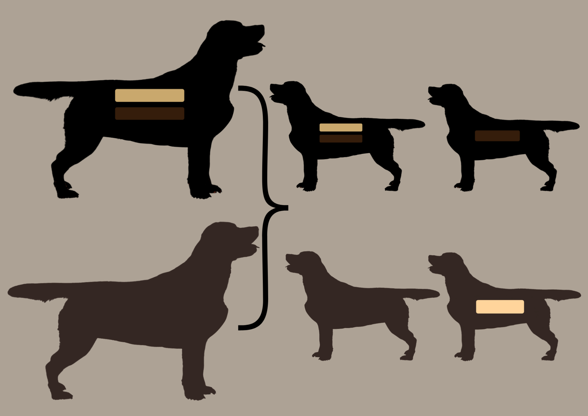 EEbb to EEbb = 100% EEbb