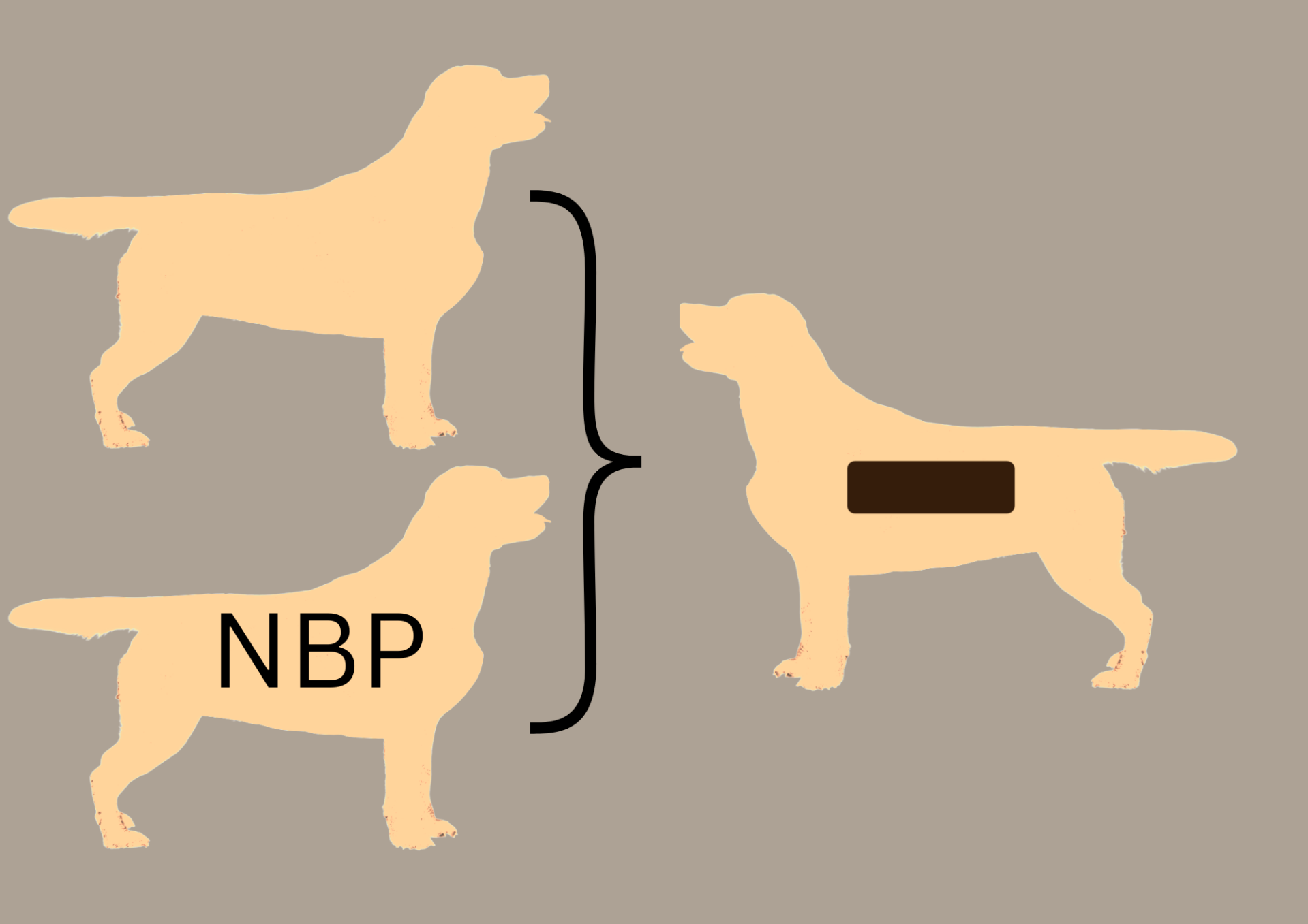 EEbb to EEbb = 100% EEbb