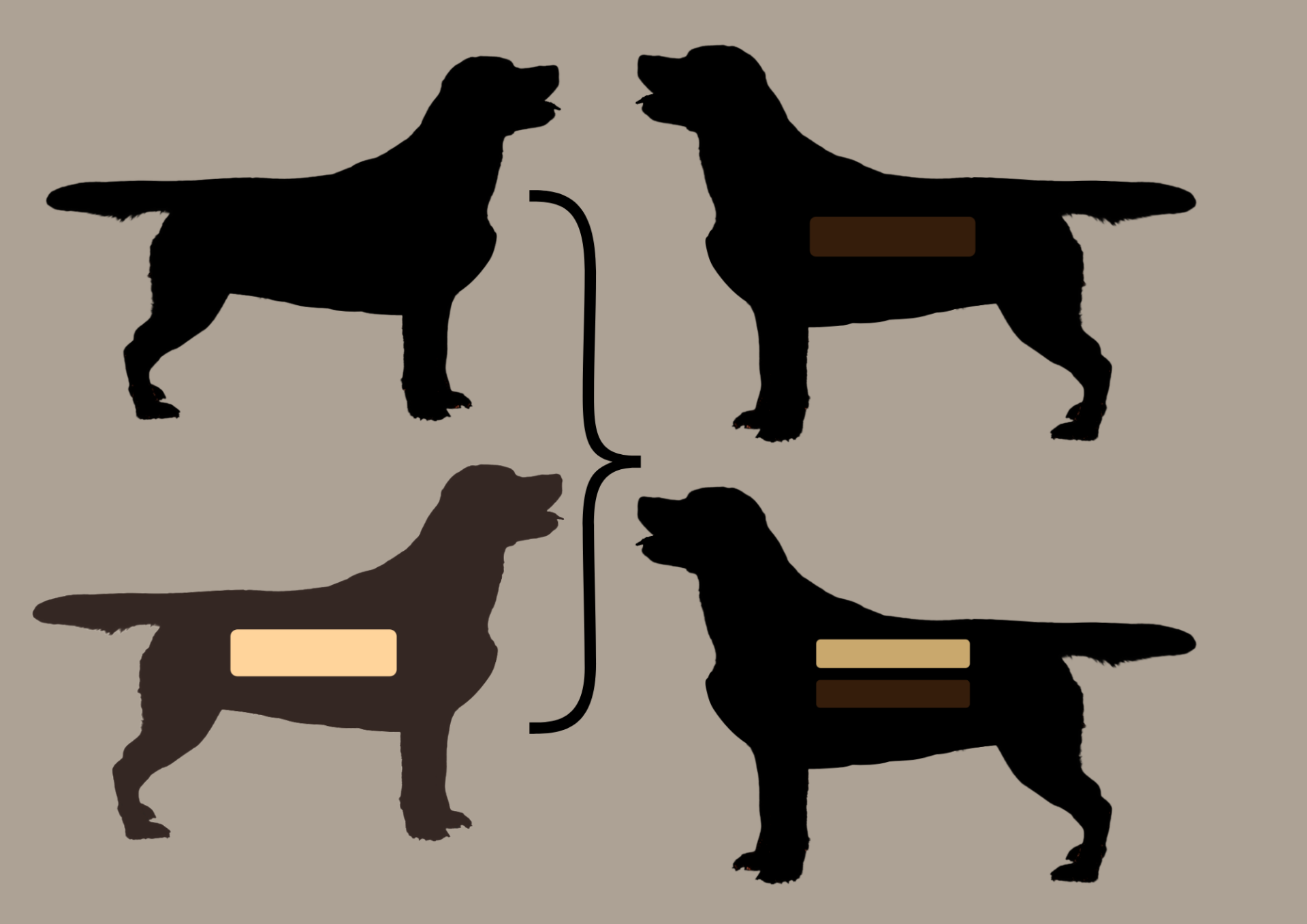 EEbb to EEbb = 100% EEbb