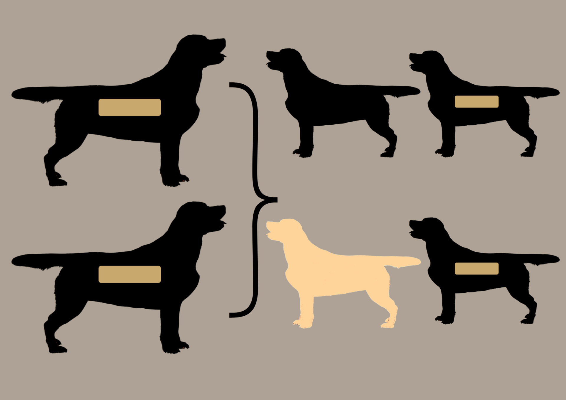 EEbb to EEbb = 100% EEbb