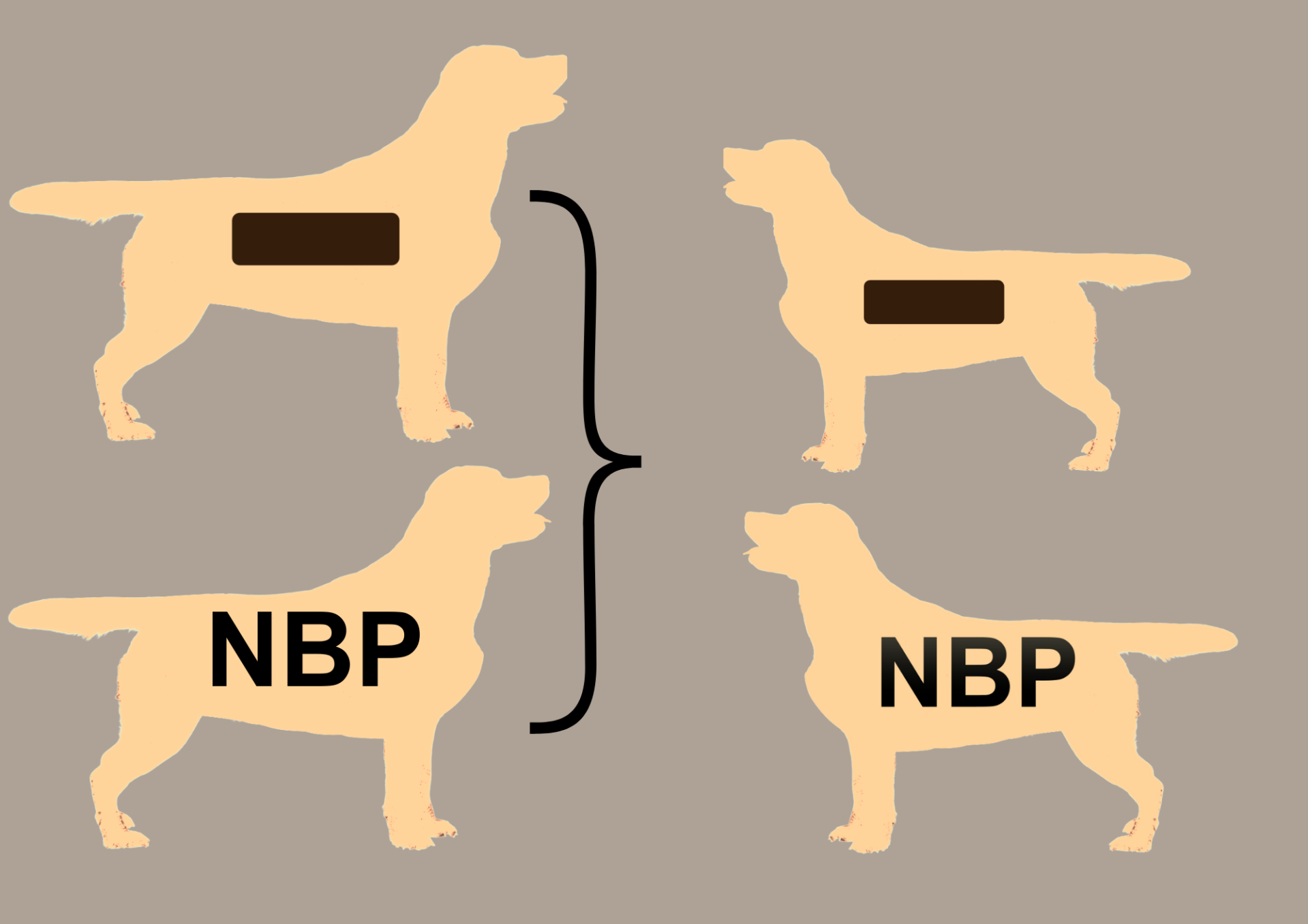 EEbb to EEbb = 100% EEbb