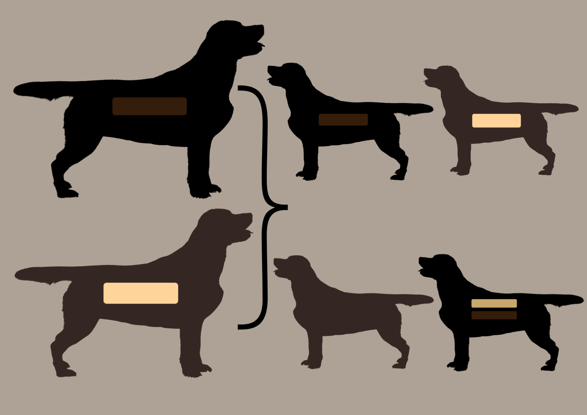 EEbb to EEbb = 100% EEbb