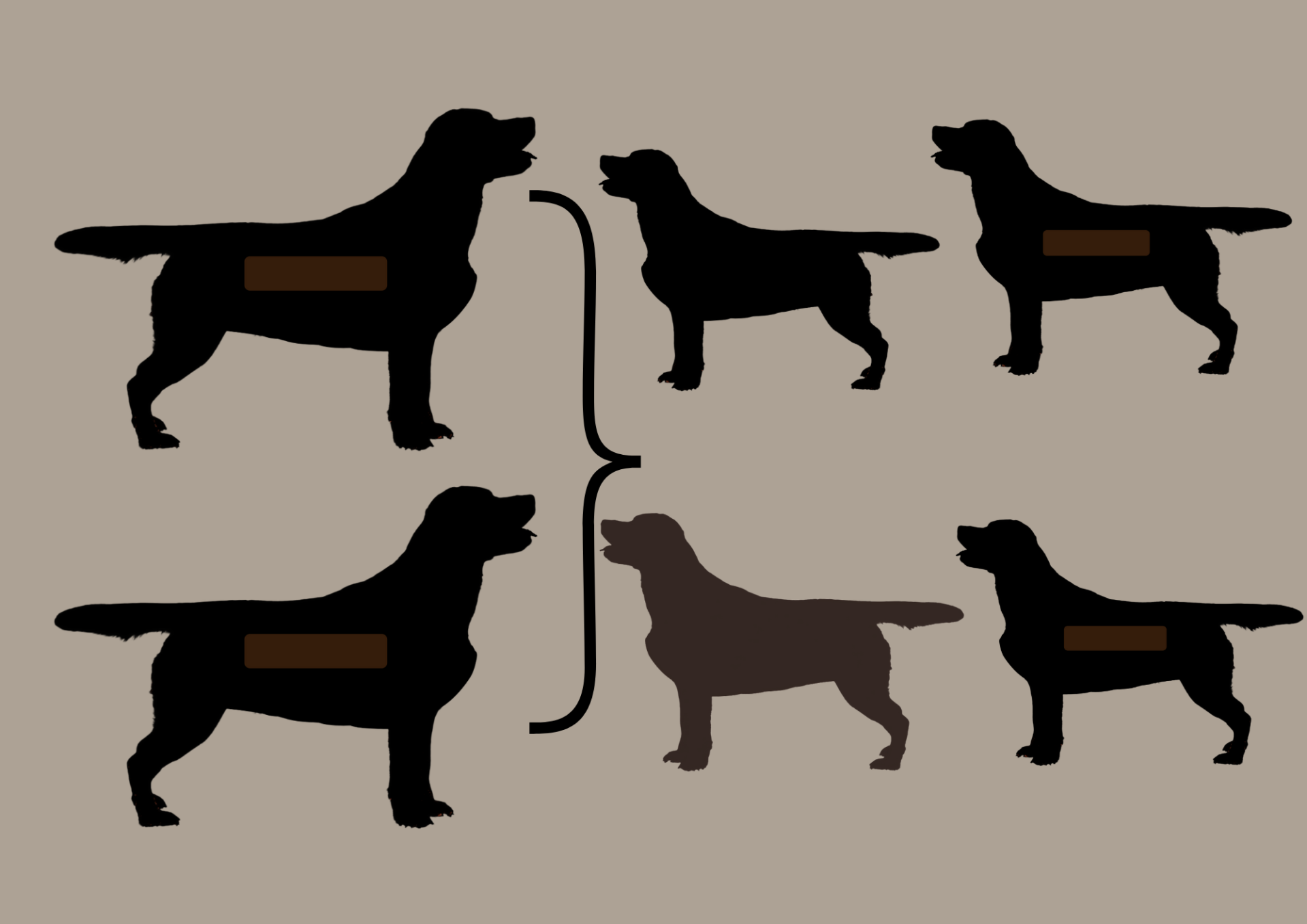 EEbb to EEbb = 100% EEbb