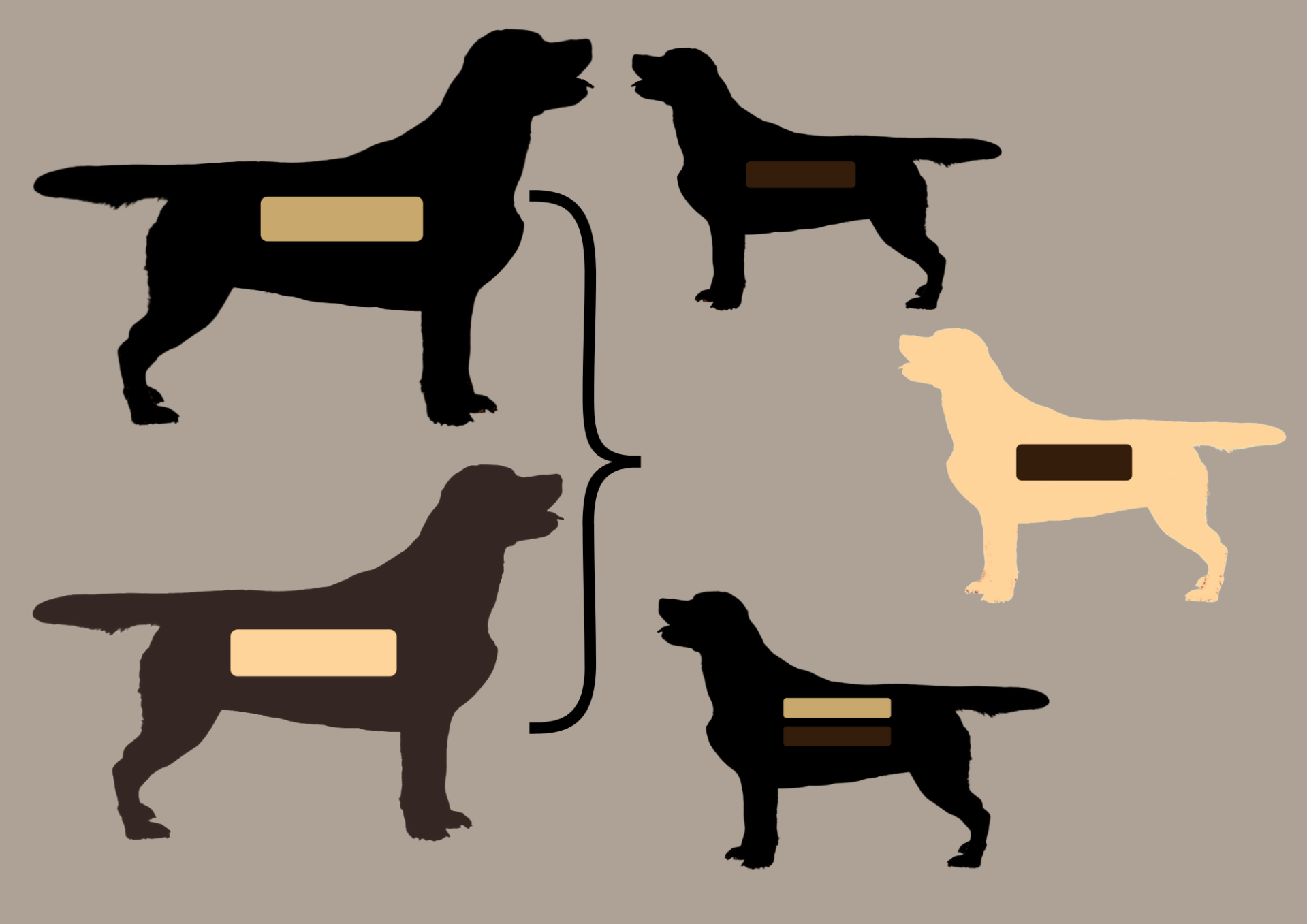 EEbb to EEbb = 100% EEbb