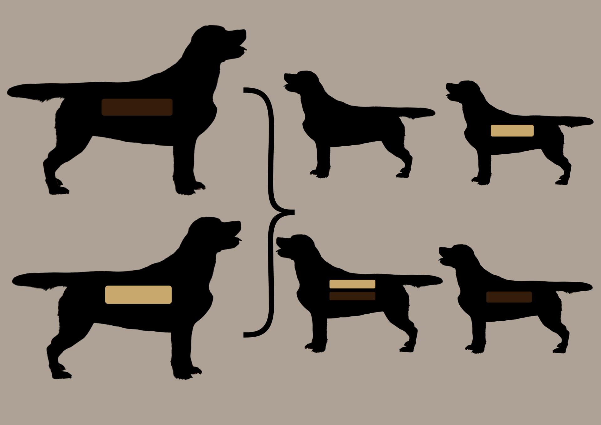 EEbb to EEbb = 100% EEbb