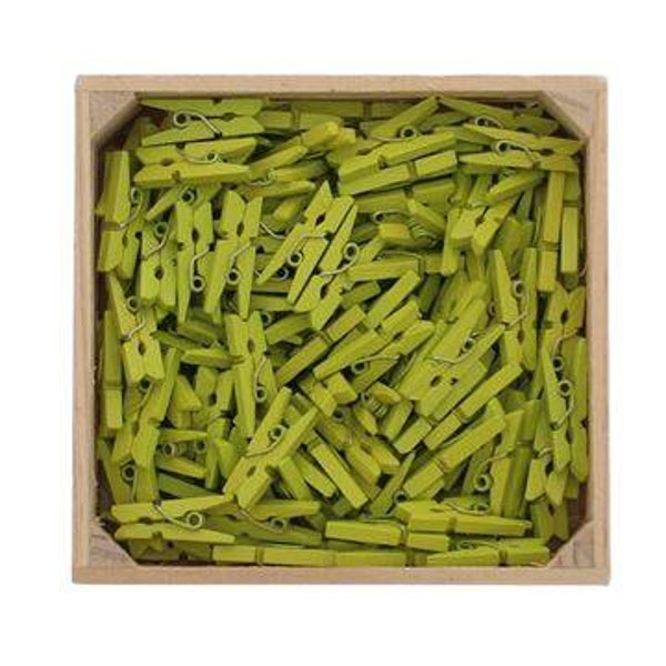 Zakje met 12 mini wasspeldjes - Pistache