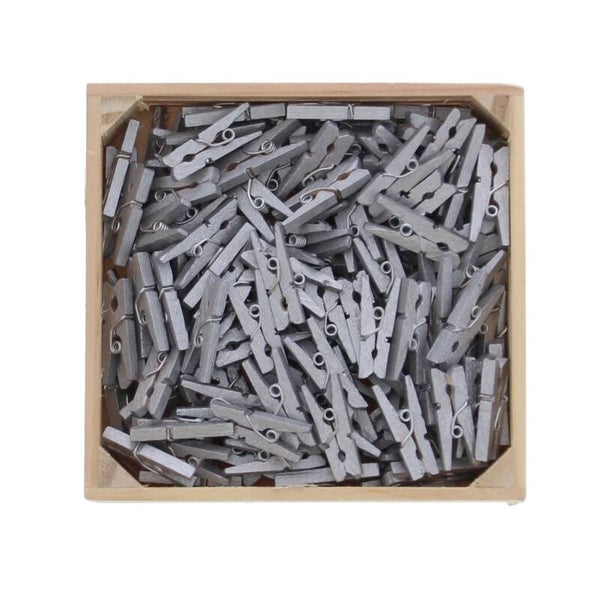 Zakje met 12 mini wasspeldjes - Zilver