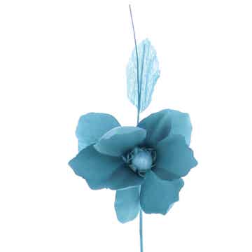 Bloem Helleborus - Turquoise