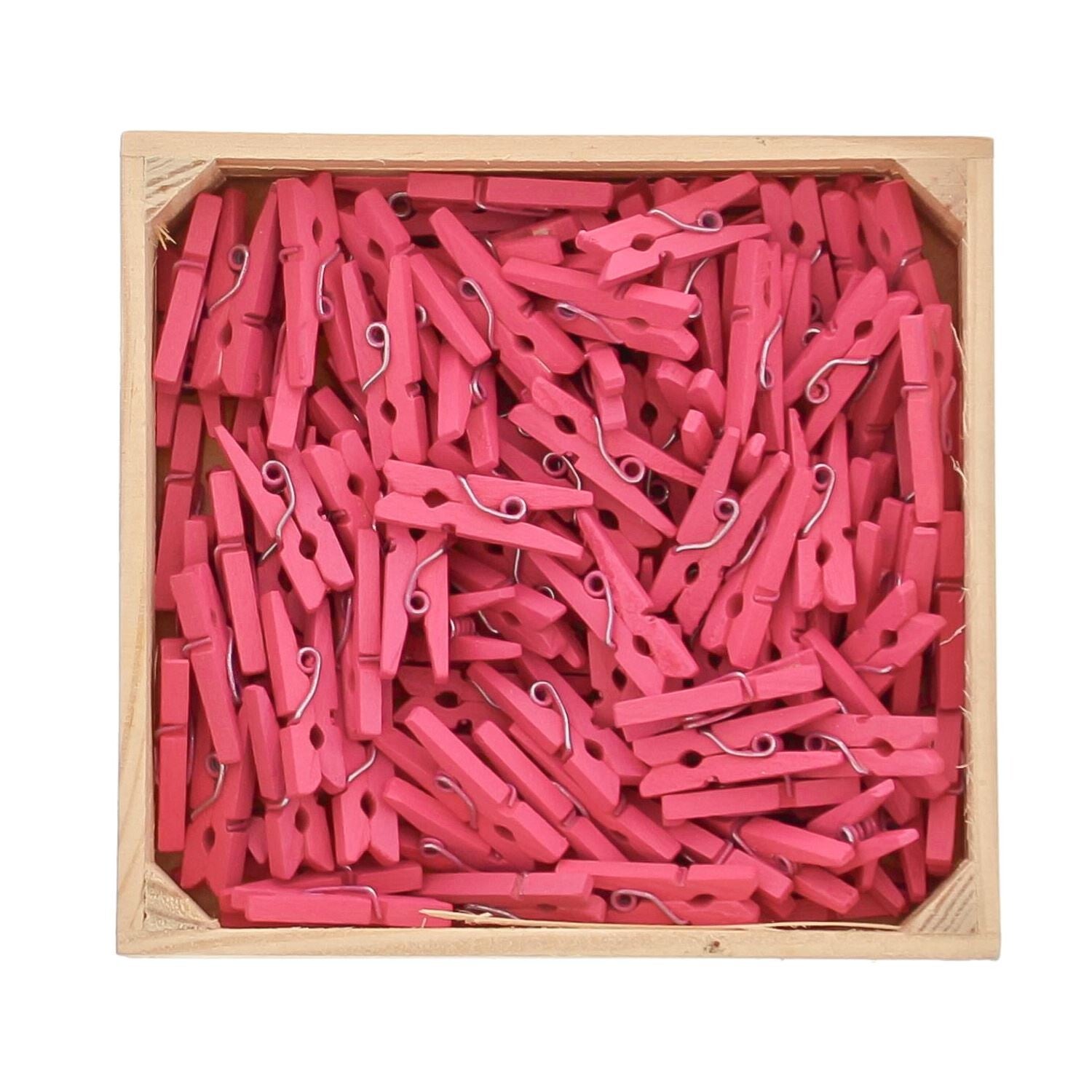 Zakje met 12 mini wasspeldjes - Fuchsia