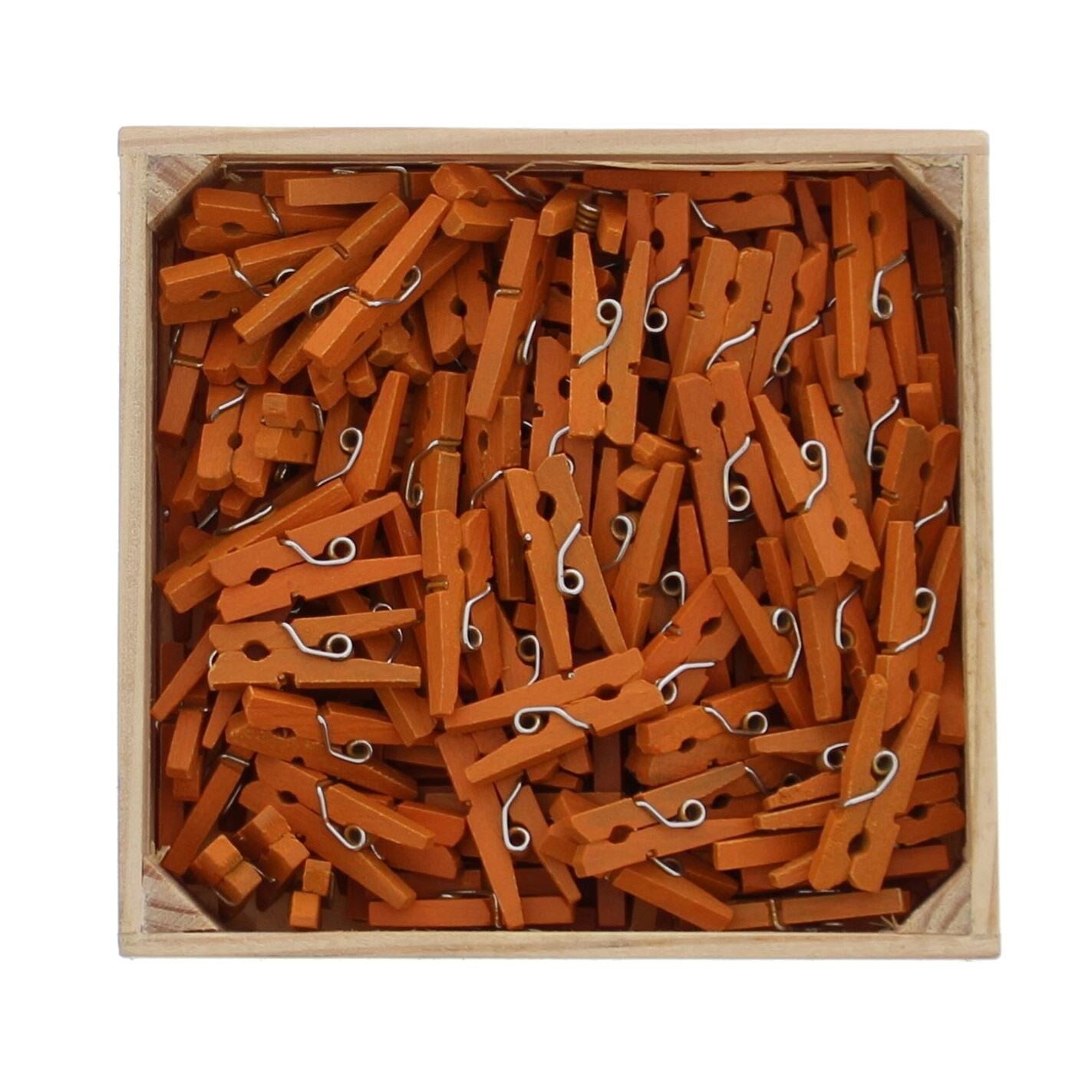 Doosje met 100 mini wasspeldjes - Oranje