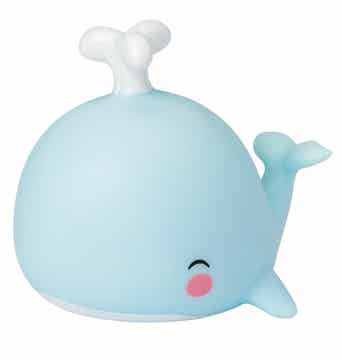 Little light Walvis